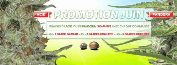 FR_JUNE_PROMO_2016_FB.jpg