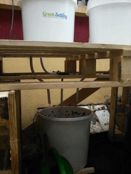 Test4.jpg