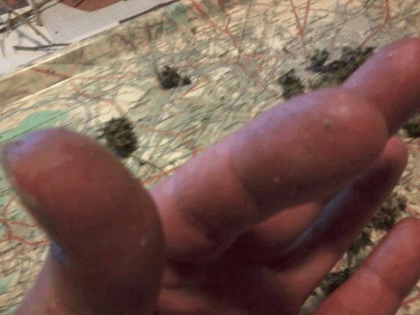 post-851001-0-57031600-1498830181_thumb.jpg