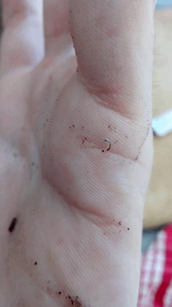 post-866564-0-34116500-1497015258_thumb.jpg
