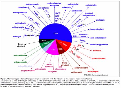 cannabinoids-pie-chart2.png