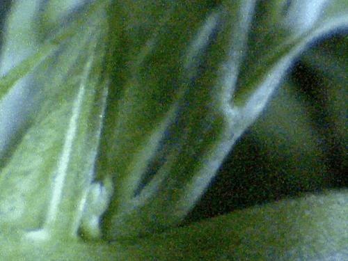post-756182-0-20320800-1343038769_thumb.jpg