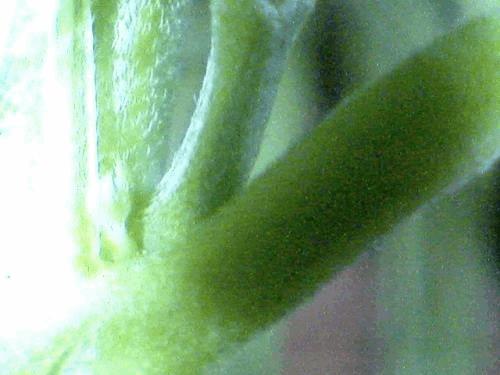 post-756182-0-46073500-1343038760_thumb.jpg