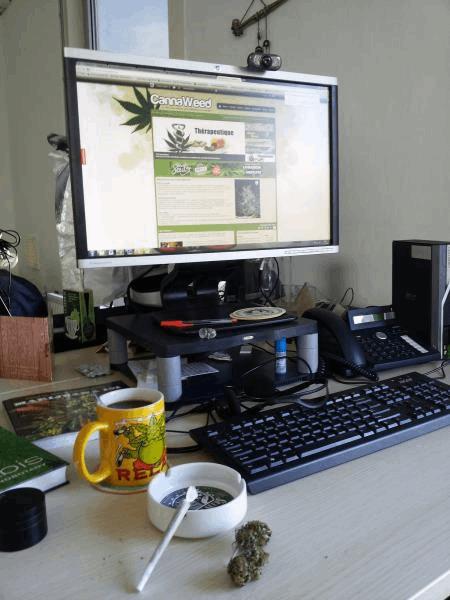 GoodMorninCannaWeed.jpg