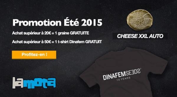 banner cannaweed lamota ete 2015.jpg