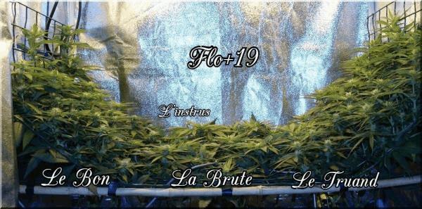Flo+19 Le bon La brute Le truand &amp; l&#39;instrus A.jpg