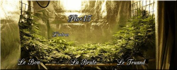 Flo+15 Le bon La brute Le truand &amp; l&#39;instrus A.jpg