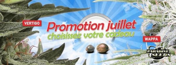 promojuillet_GF.jpg