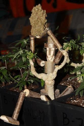 IMG_6601.JPG