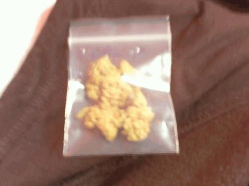 orange bud.JPG