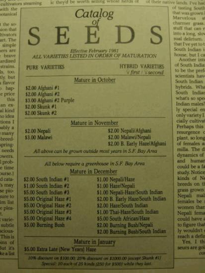 seedcatalog_1981-sacredseed.jpg