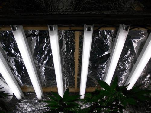 DSCN2638.JPG