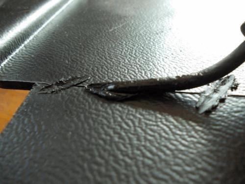 DSCN3114.JPG
