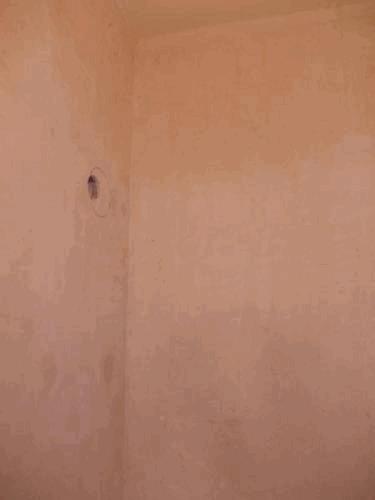 DSCN3151.JPG