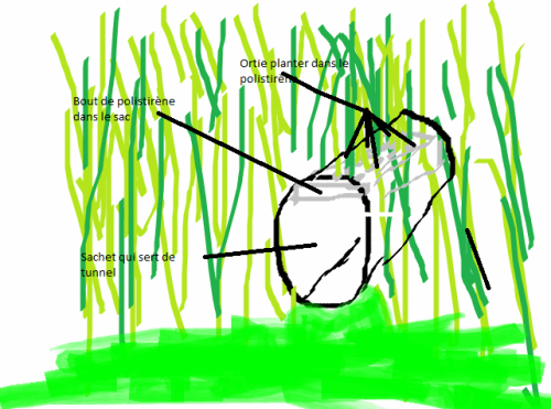 post-779213-0-70197100-1344031935_thumb.png