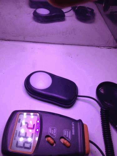 post-802977-0-02827600-1377798896_thumb.jpg