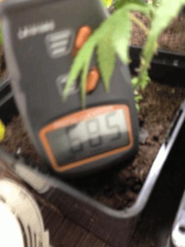 post-802977-0-93641100-1377945100_thumb.jpg