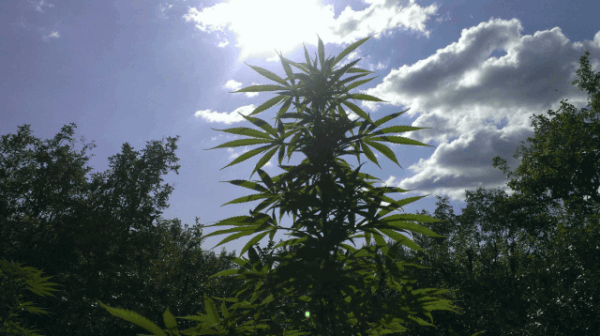 621088Capturedu20140821205400.png