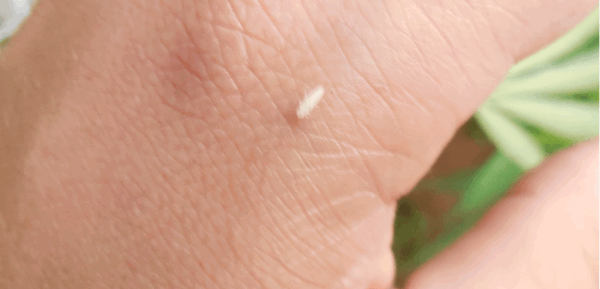 post-827544-0-28695200-1407801902_thumb.png