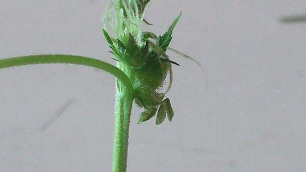 post-828510-0-07367100-1408971476_thumb.jpg