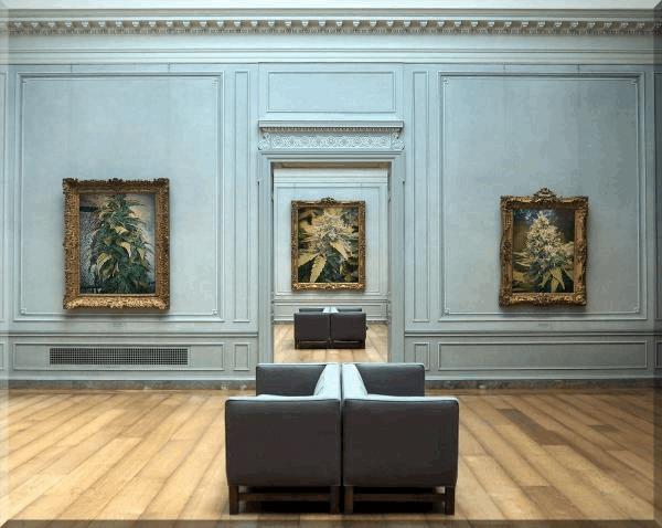 Gallerie d'art.jpg