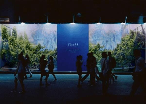 Flo+55 Art du scrog.jpg