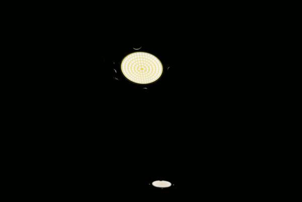 post-712689-0-05100800-1470672554.jpg