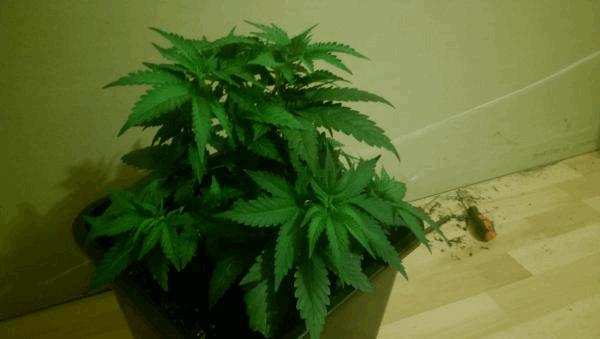 IMAG0066.jpg