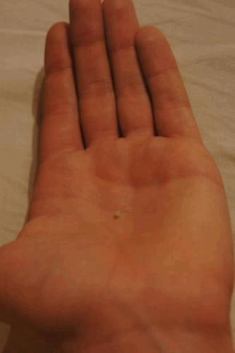post-748569-0-59267800-1316125113_thumb.jpg