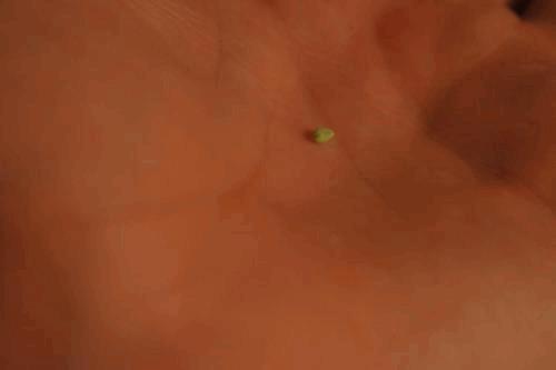 post-748569-0-63864500-1316125084_thumb.jpg