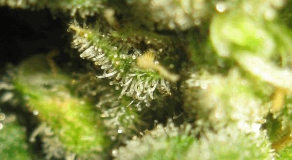 IMG_7258.jpg1.jpg