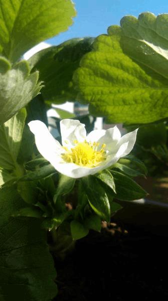 IMAG0314.jpg