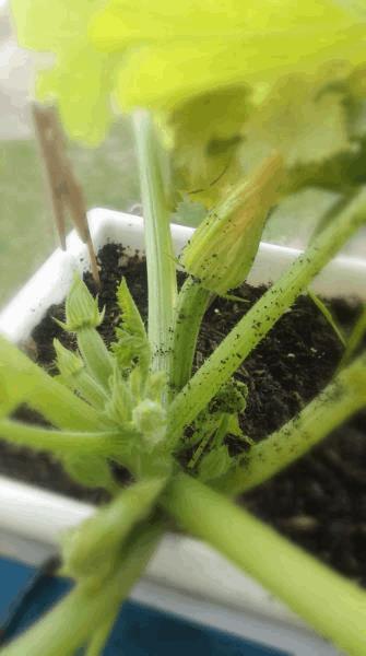 IMAG0387.jpg