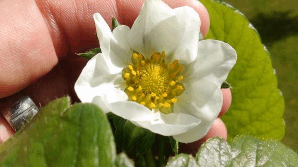 IMAG0262.jpg