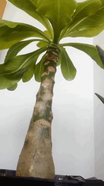 IMAG0297.jpg