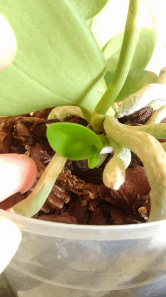 IMAG0316.jpg