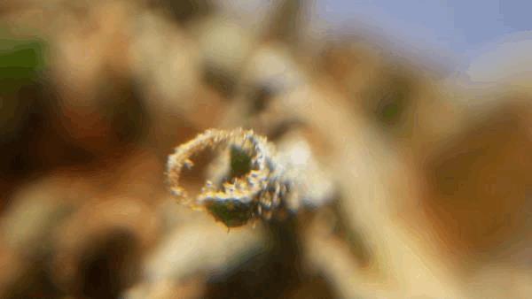 100_1298.JPG