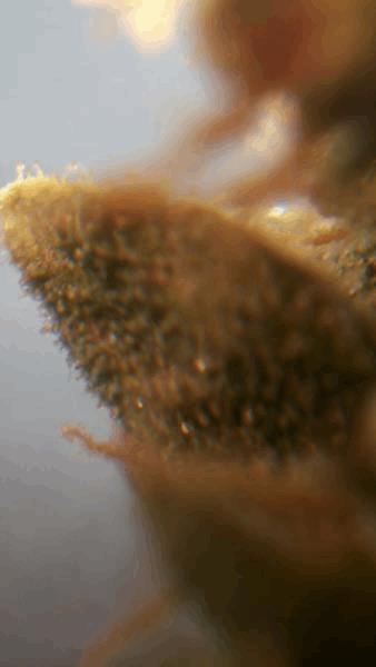 100_1291.JPG