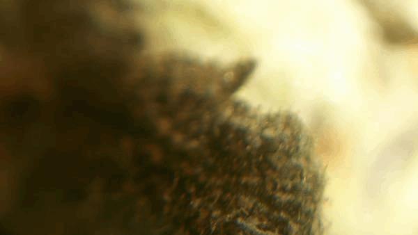 100_1301.JPG