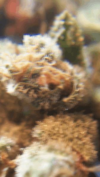 100_1295.JPG