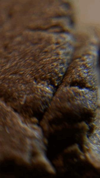 100_1314.JPG