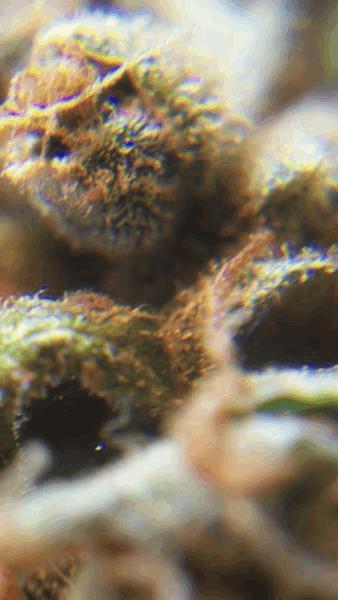 100_1294.JPG