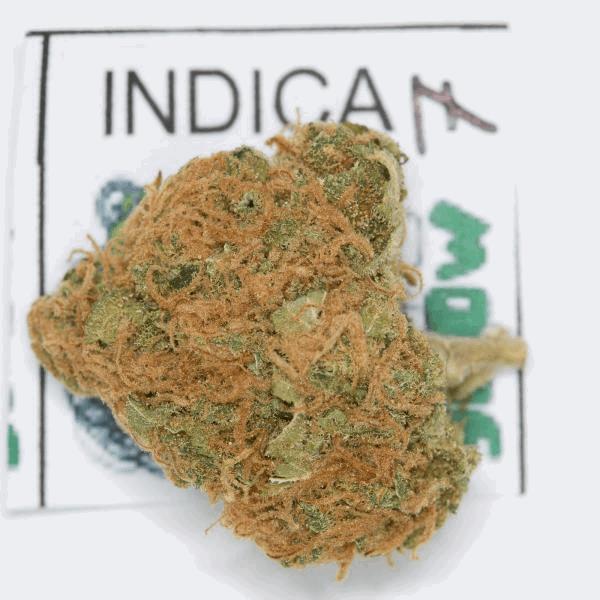 indicaexpogrow-7.jpg