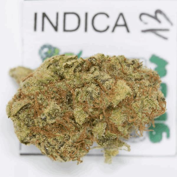 indicaexpogrow-13.jpg