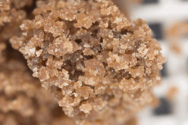 hashexpogrow-8.jpg