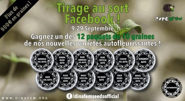 Banner_sorteo.jpg