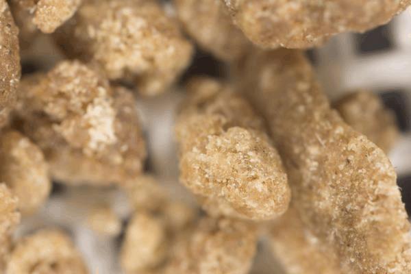 hashexpogrow-7.jpg