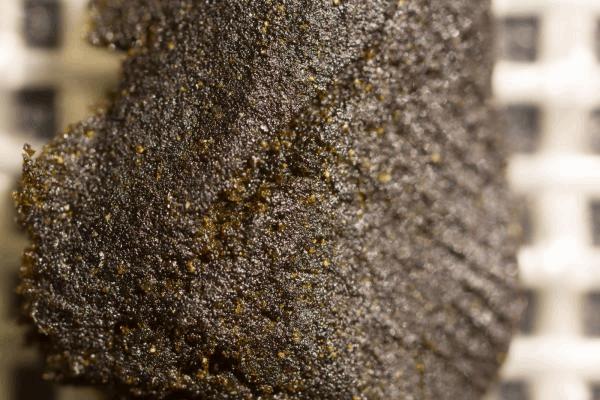 hashexpogrow-1.jpg
