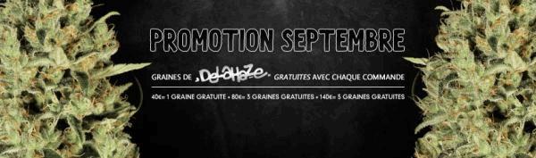 FR_SEPTEMBER_PROMO_2016_852x250.jpg
