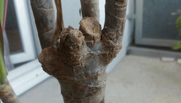 post-856970-0-52275200-1473594244_thumb.jpg